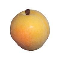 apricot-w